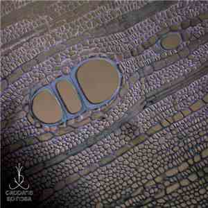 Alex Tomb - Buds Of Pantelleria download free