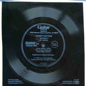 Danny Gatton - Nit Pickin' download mp3 flac