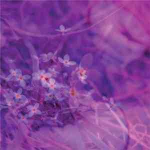 Darkentries - How The End Always Is download mp3 flac