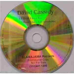David Cassidy - I Think I Love You download mp3 flac