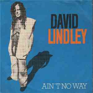 David Lindley - Ain't No Way download mp3 flac