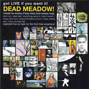 Dead Meadow - Got Live If You Want It! download free