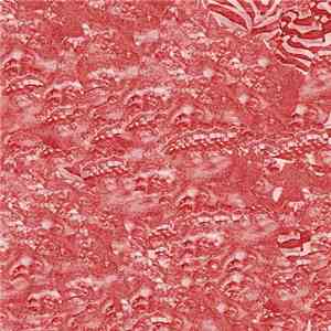 Dissociative Disorder  / Naturalismo - Dissociative Disorder / Naturalismo download mp3 flac