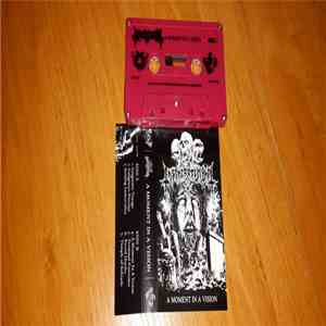 Insineratehymn - A Moment In A Vision download free