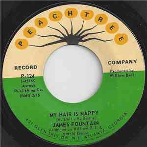 James Fountain - My Hair Is Nappy download mp3 flac