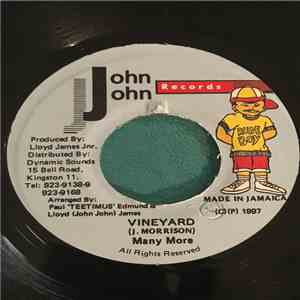 Many More  - Vineyard download mp3 flac