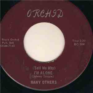 Many Others  - (Tell Me Why) I'm Alone / Can I Get A Witness download free