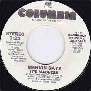 Marvin Gaye - It's Madness download mp3 flac