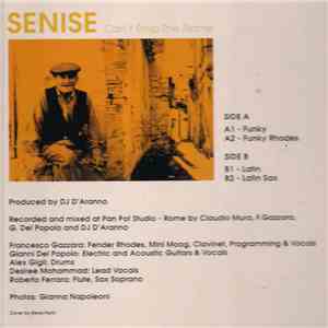 Senise - Can't Stop The Flame download mp3 flac
