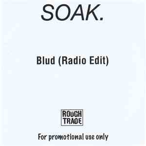 SOAK  - Blud (Radio Edit) download free