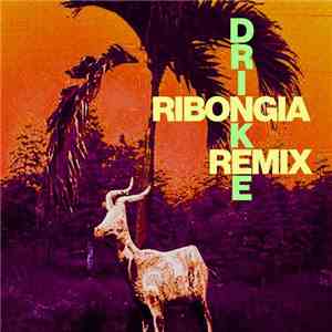 Sofi Tukker - Drinkee (Ribongia Remix) download free