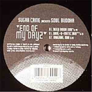 Soul Buddha - End Of My Dayz download mp3 flac