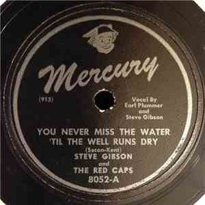 Steve Gibson and the Red Caps - You Never Miss The Water 'Til The Well Runs Dry / I Don't Want To Set The World On Fire download mp3 flac