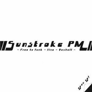 Sunstroke PM - Free To Funk - Live - Voxhall download mp3 flac
