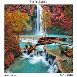 Super Sapien - Awakening download free