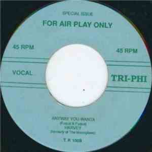 The Challengers / Harvey - Honey, Honey, Honey / Anyway You Wanta download mp3 flac