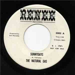 The Natural Gas - Sunnydays download mp3 flac