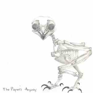 The Papers  - Anyway download mp3 flac