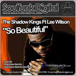 The Shadow Kings Featuring Lee Wilson  - So Beautiful download mp3 flac