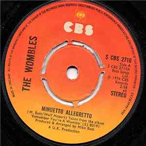 The Wombles - Minuetto Allegretto download mp3 flac