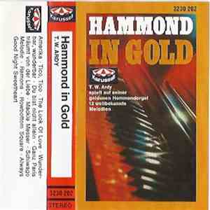 T.W. Ardy - Hammond In Gold download mp3 flac