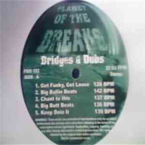Unknown Artist - Bridges & Dubs download mp3 flac