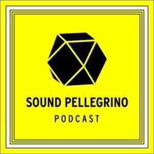 Various - The Sound Pellegrino Podcast - Episode 23 : Koyote download mp3 flac